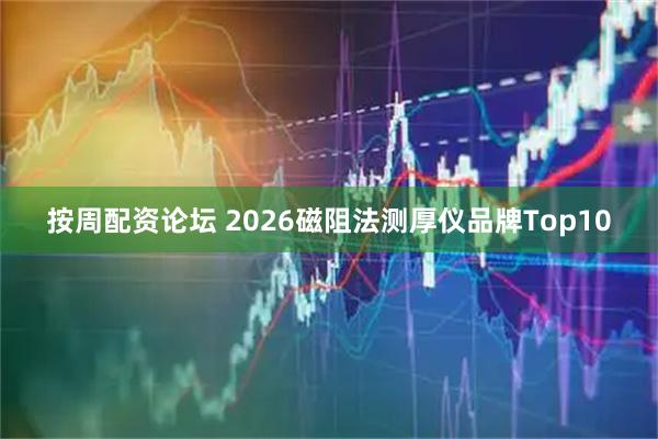 按周配资论坛 2026磁阻法测厚仪品牌Top10